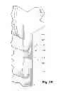 Fig. 04 - Covering for architectural opening including cell structures biased to open