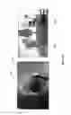 Fig. 20 - Rolling cutter with close loop retaining ring