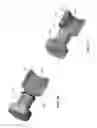 Fig. 29 - Rolling cutter with close loop retaining ring