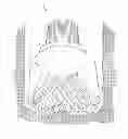 Fig. 01 - Highly wear resistant diamond insert with improved transition structure