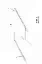Fig. 02 - Method and device for aligning a belt strip