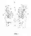 Fig. 05 - Carton and carton blank