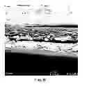 Fig. 07 - Forward osmosis membranes