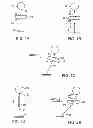 Fig. 02 - Balloon-borne platform stabilization