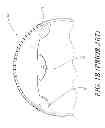 Fig. 03 - Overhead space utilization device
