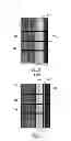 Fig. 03 - DOOR FRAME CONSTRUCTION, FUSELAGE PORTION AND AIRCRAFT OR SPACECRAFT