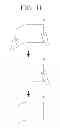 Fig. 12 - Flexible apparatus and method for controlling flexible apparatus