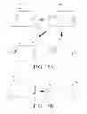 Fig. 16 - Flexible apparatus and method for controlling flexible apparatus
