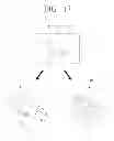 Fig. 18 - Flexible apparatus and method for controlling flexible apparatus