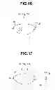 Fig. 11 - Light source apparatus having a light emission intensity detection section receives both of a leak light and a light emitted from the light source and reflected by an optical element