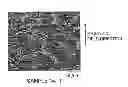 Fig. 01 - Ferrite particle and production method thereof
