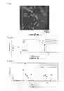 Fig. 03 - Ferrite particle and production method thereof