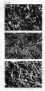 Fig. 03 - Nano wire and method for manufacturing the same