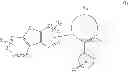 Fig. 22 - Phosphorescent emitters with phenylimidazole ligands