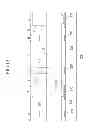 Fig. 13 - Liquid crystal display including a variable width spacer element and method for fabricating the same