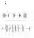 Fig. 19 - Reduction of Proximity Effects in Field-Effect Transistors with Embedded Silicon-Germanium Source and Drain Regions