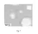 Fig. 10 - METHOD AND APPARATUS FOR RELEASE-ASSISTED MICROCONTACT PRINTING OF MEMS