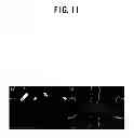 Fig. 12 - METHOD FOR FABRICATING NANOGAP ELECTRODES, NANOGAP ELECTRODES ARRAY, AND NANODEVICE WITH THE SAME