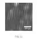 Fig. 25 - Method for creating topographical patterns in polymers via surface energy patterned films and the marangoni effect