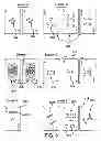 Fig. 09 - CARD HAVING A FLEXIBLE, DYNAMICALLY CHANGEABLE DISPLAY, A SET OF SUCH CARDS AND RELATED SYSTEM AND METHOD