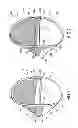 Fig. 02 - Floating game device