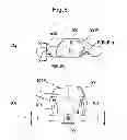 Fig. 07 - Front body structure