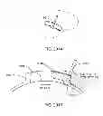 Fig. 239 - Infusion pump assembly