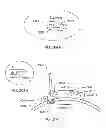Fig. 242 - Infusion pump assembly