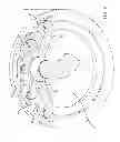 Fig. 05 - Fluid-cooled wind turbine