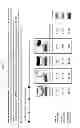Fig. 03 - BUMPER BEAM ASSEMBLY SYSTEM