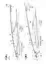 Fig. 07 - Sunroof apparatus