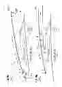 Fig. 08 - Sunroof apparatus