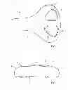 Fig. 02 - Support element for human body and method for its realisation
