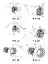 Fig. 06 - Apparatus and methods for quickly releasing a hub-and-wheel assembly