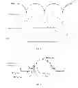 Fig. 04 - Color correcting device driver