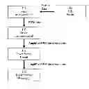 Fig. 01 - Electric motor and motor control