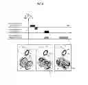 Fig. 06 - Magnetic resonance imaging apparatus and control method for the same