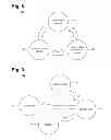 Fig. 06 - System and method for remotely programming a patient medical device