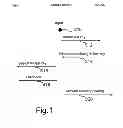 Fig. 02 - Method for actuating a function of a vehicle from a large distance