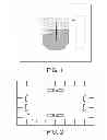 Fig. 02 - VISUALISATION SYSTEM, NOTABLY FOR AN AIRCRAFT, WITH A TRANSPARENT SCREEN AND WITH PERIPHERAL SYMBOLOGY