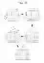 Fig. 18 - Flexible apparatus and control method thereof