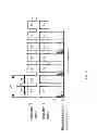 Fig. 22 - Systems and methods for projecting composite images