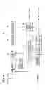 Fig. 09 - Information presenting apparatus and method for confirmed and tentative tracks