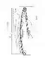 Fig. 02 - Method to execute a print interruption in printing operation of an ink printing system with at least one printing apparatus