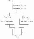 Fig. 01 - System and method of viewing and tracking stereoscopic video images