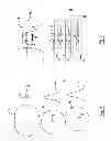 Fig. 02 - Test sample device and test method for an optical microscope with subwavelength resolution