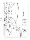 Fig. 13 - RECORDING CONTROL APPARATUS, RECORDING CONTROL METHOD, AND PROGRAM