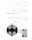 Fig. 06 - Optical compensation structure and display device