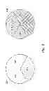Fig. 03 - Display device for three-dimensional display having first and second color wheels