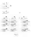 Fig. 02 - Image forming apparatus, print method, and recording medium involving a comparison between the number of sheets of e-paper and number of copies specified by user